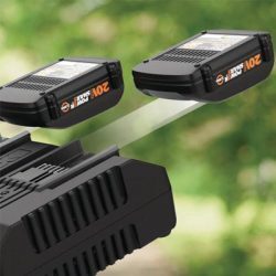 WORX BATTERY AND CHARGER