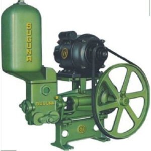 Red Lion Water Pump